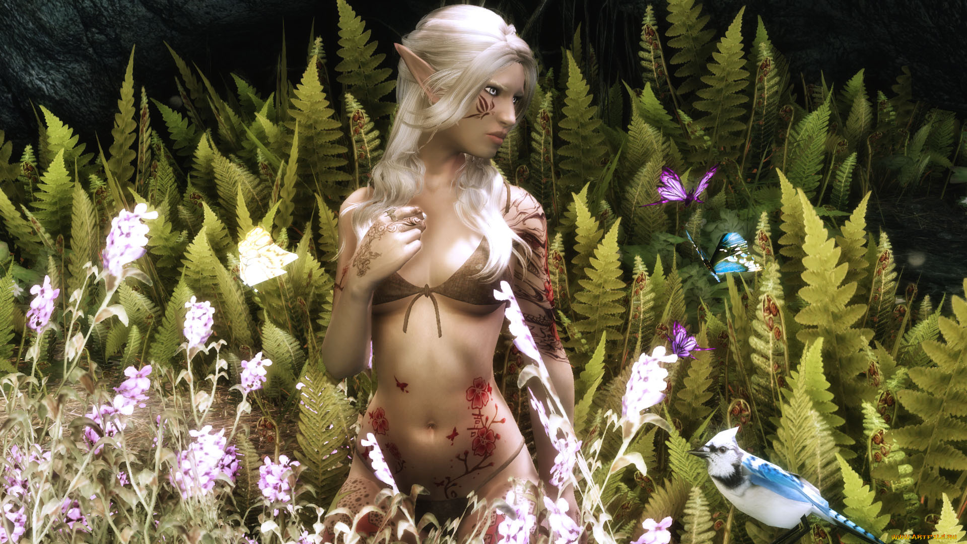 3 ,  , elves, , , , , , 